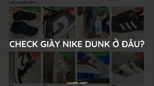 Check giày Nike Dunk chính hãng ở đâu? | KICKSPLANET