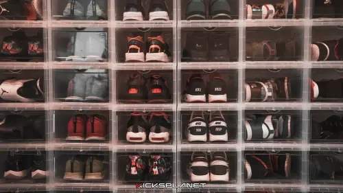 6 cách bảo quản giày Sneaker tốt nhất | KICKSPLANET
