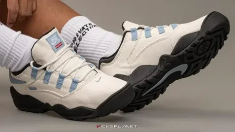 Xuất hiện hình ảnh onfoot của Supreme x Nike SB Air Darwin Low | KICKSPLANET