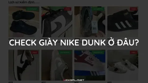 Check giày Nike Dunk chính hãng ở đâu? | KICKSPLANET